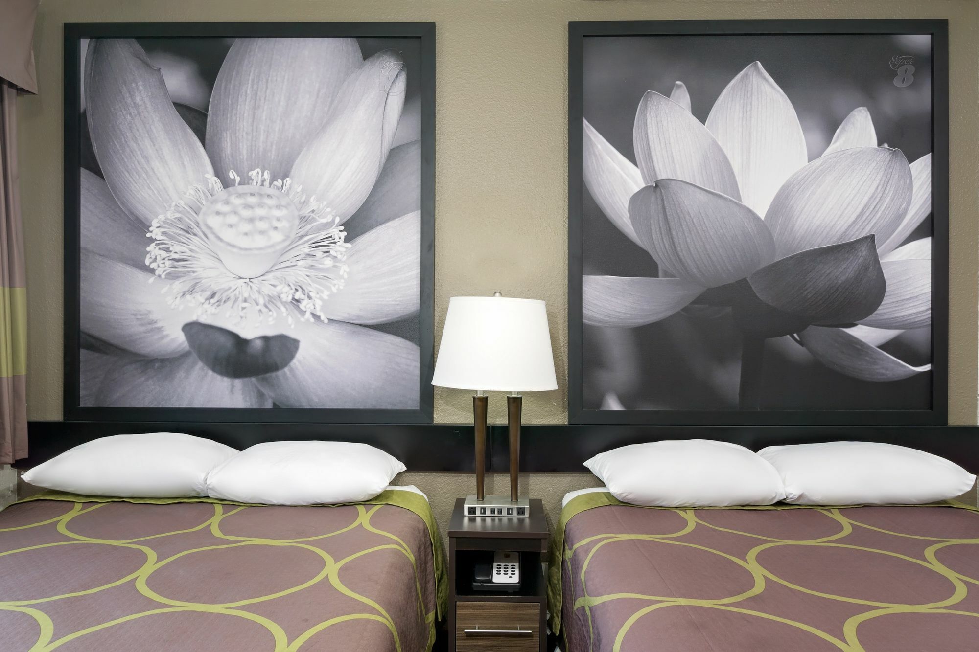 ซูเปอร์ 8 บาย วินด์แฮม ฟลอเรนซ์ Hotel ภายนอก รูปภาพ